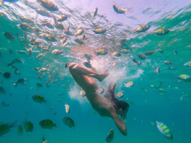 Diving with the fishes