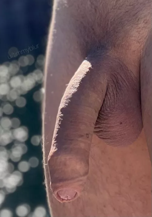 Dreaming about summertime and sunshine…