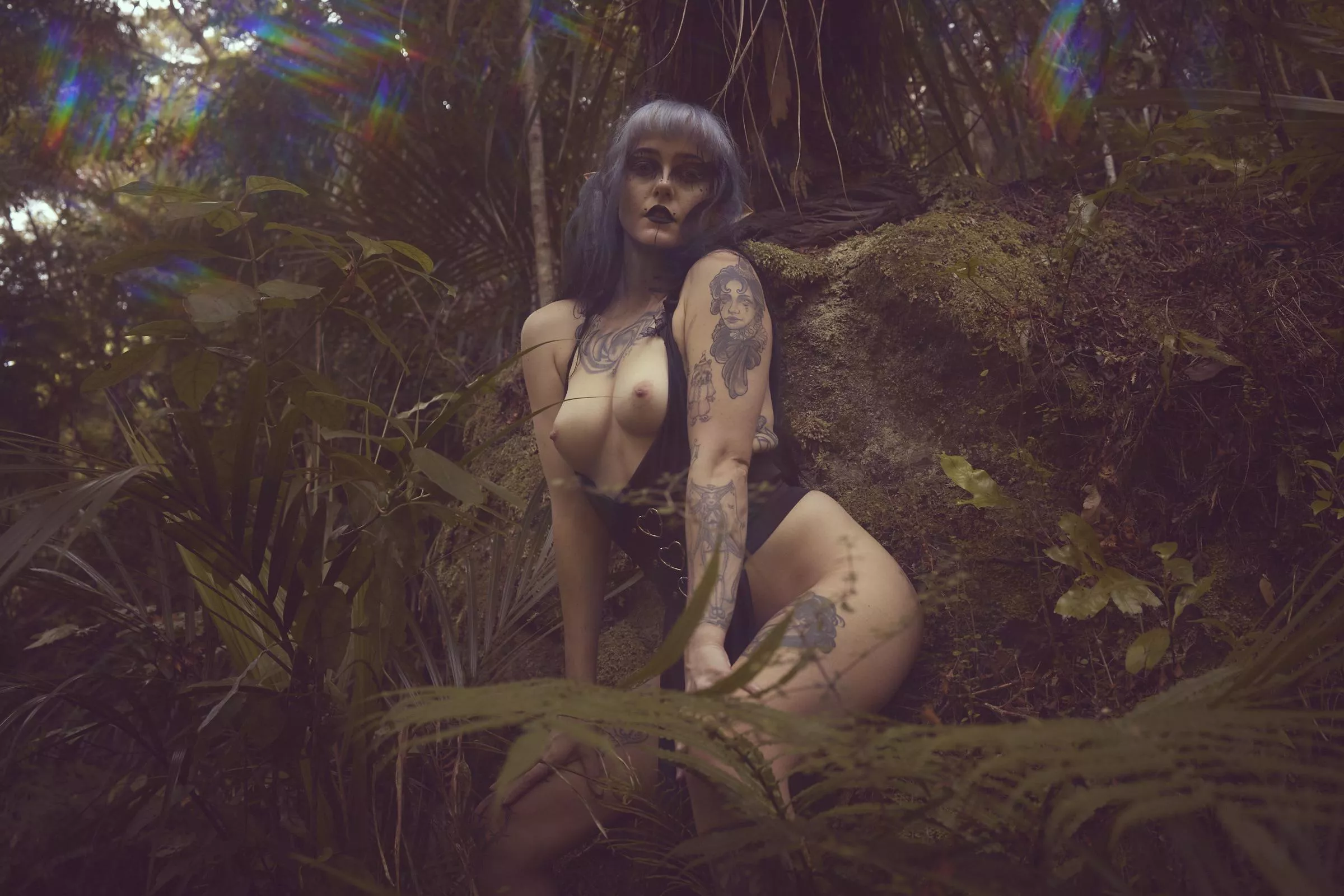 Elf shoot in the forest