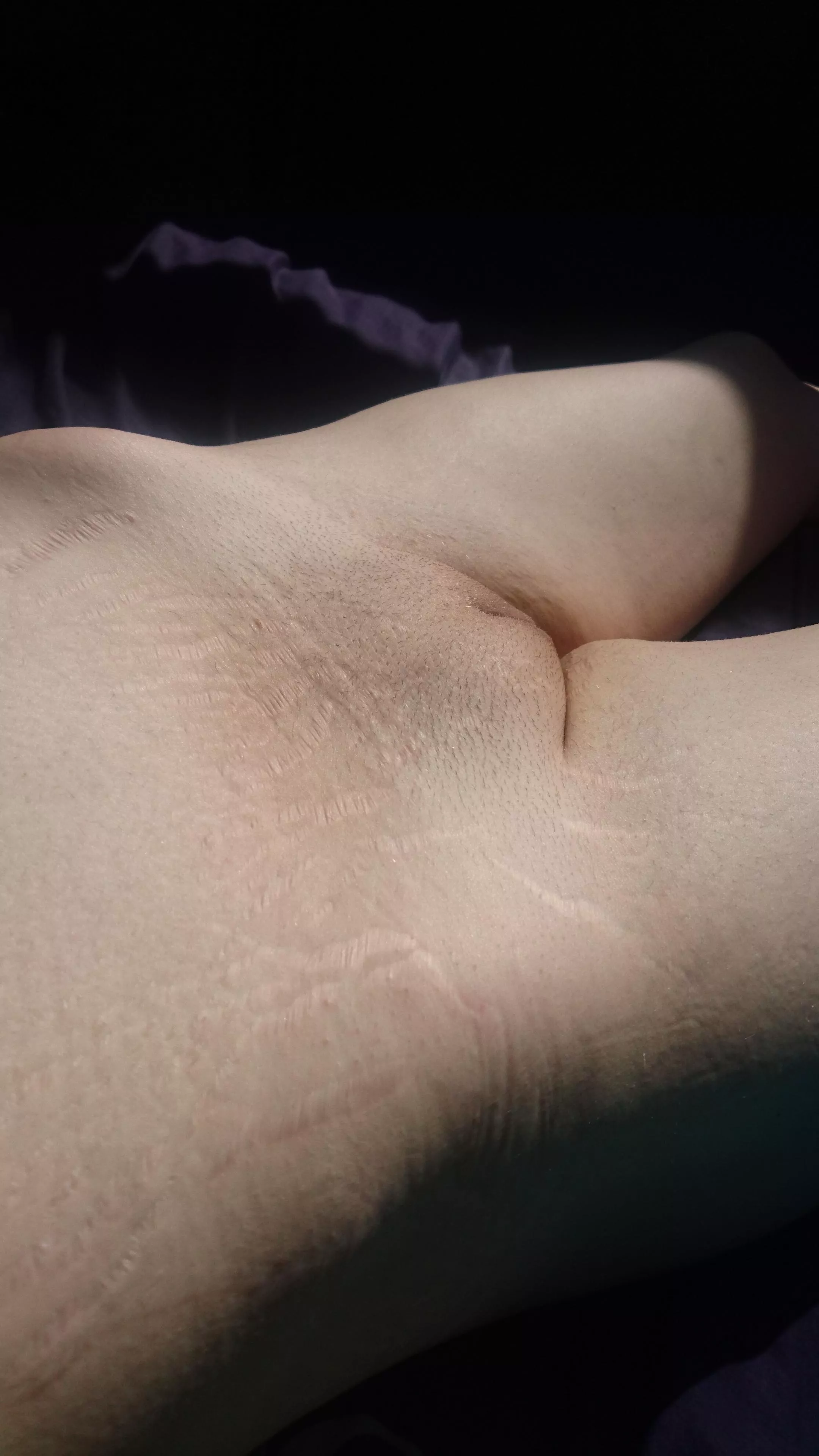 First bit of sun on my mound in a while 😍