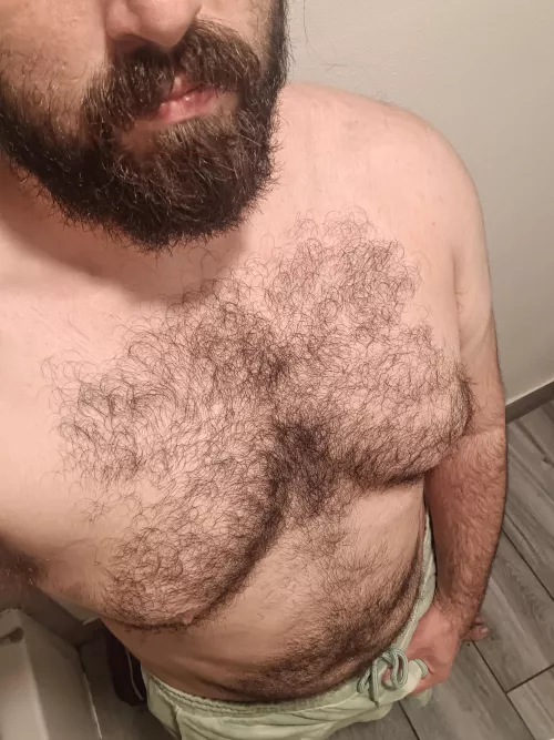 Hairy chest & belly