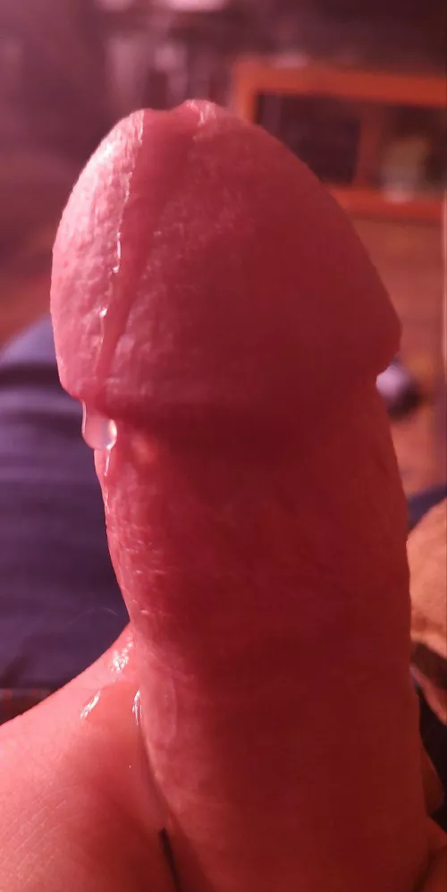 Hard, horny, and oozing [OC]