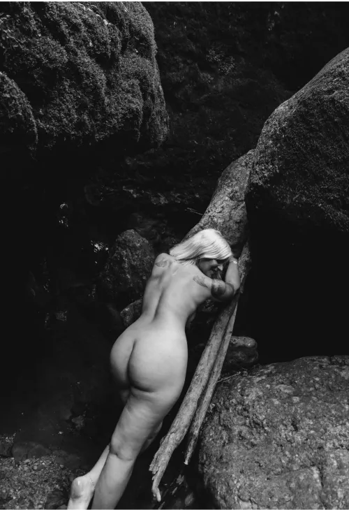 Here in the Forest to inspire you 