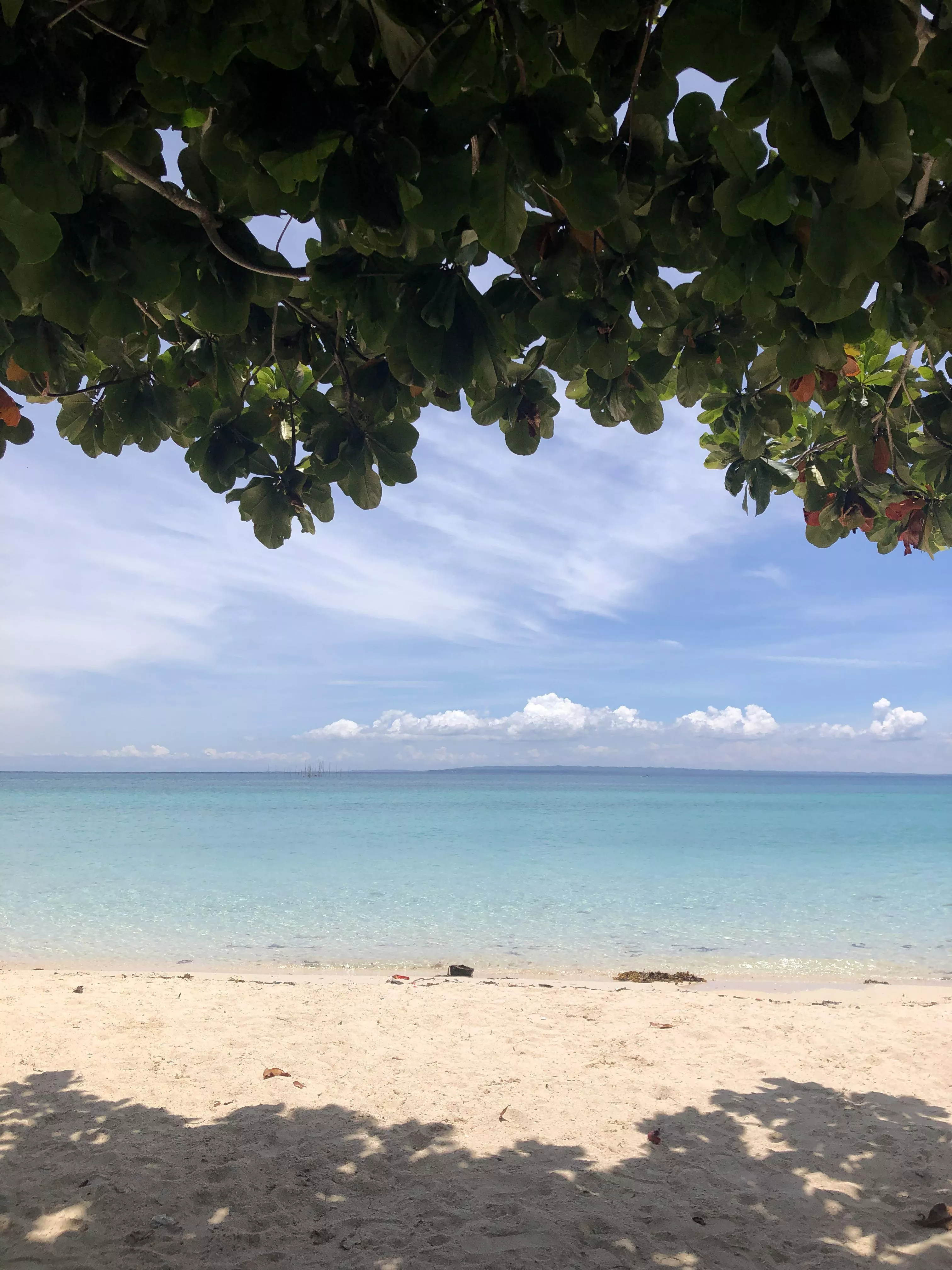 I always look forward to see this during weekend