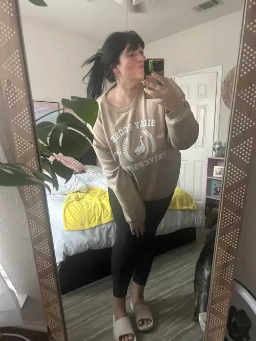 i graduated from silly goose university. 🤩