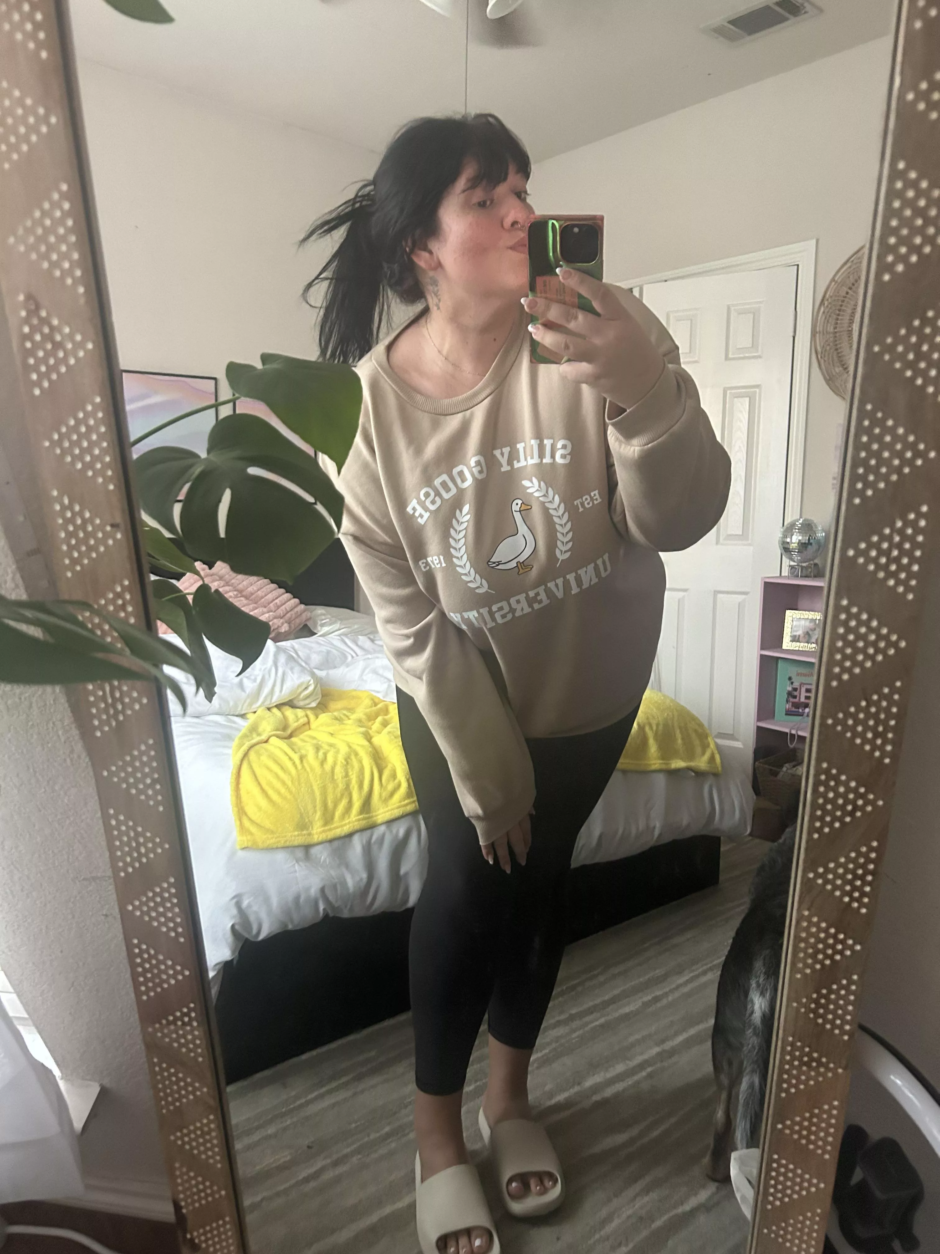 i graduated from silly goose university. 🤩