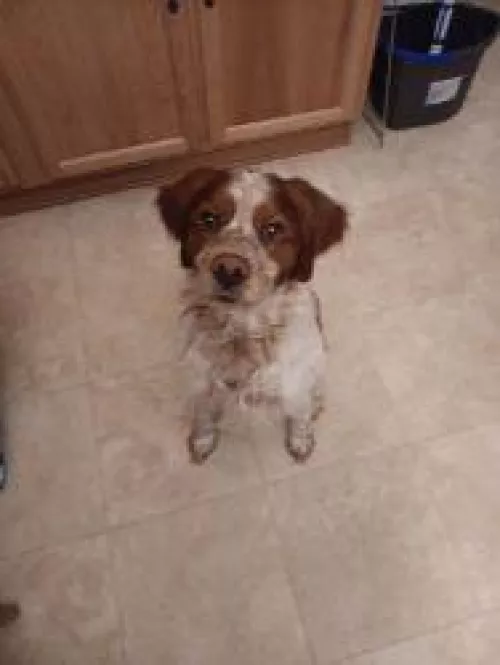 I sound like an attention wh0®3 XD