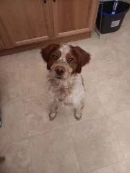 I sound like an attention wh0®3 XD