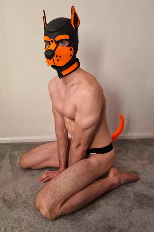 If I sit, does that mean I'm a good boy?