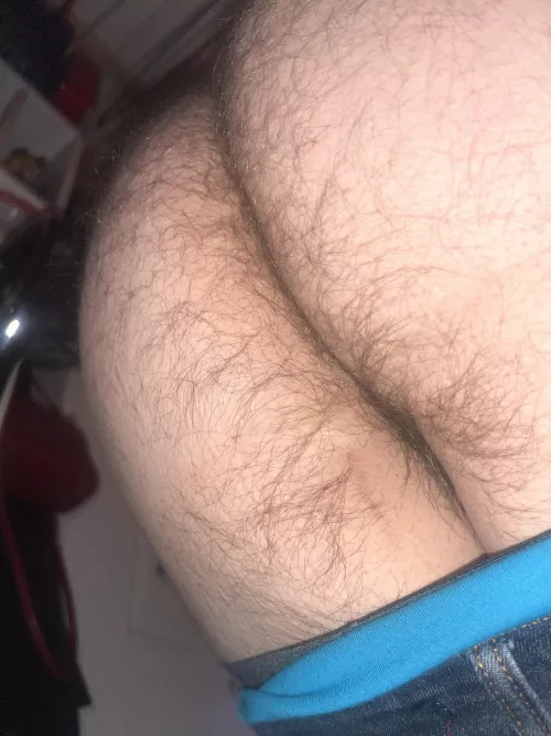 Is anyone interested in getting their face used as my seat? 