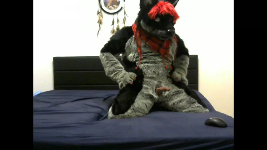 loaded wolf ready for fun