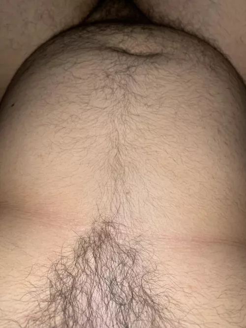 M 20 chubby bear vers 4 other chubs hmu on Instagram @chubear420