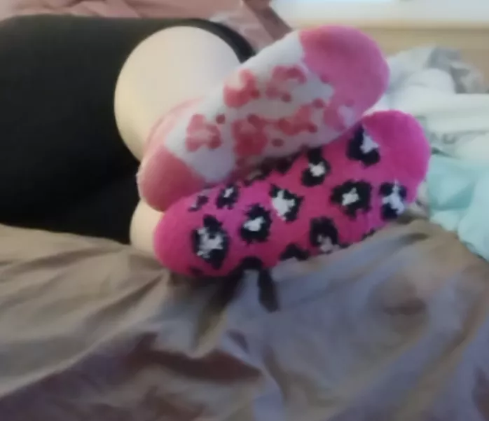 Mismatched fuzzy socks on this cold rainy day 