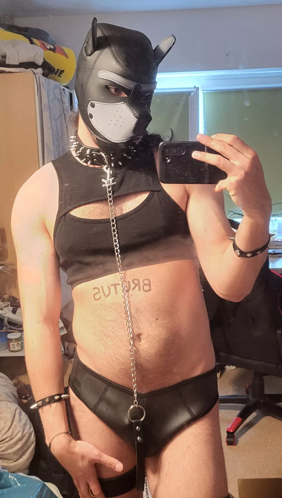 My gear. What do you guys think? Just getting into petplay
