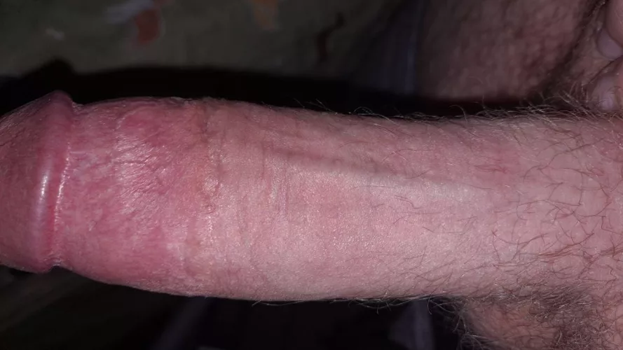 Need some subs to own completely, dms open~ 