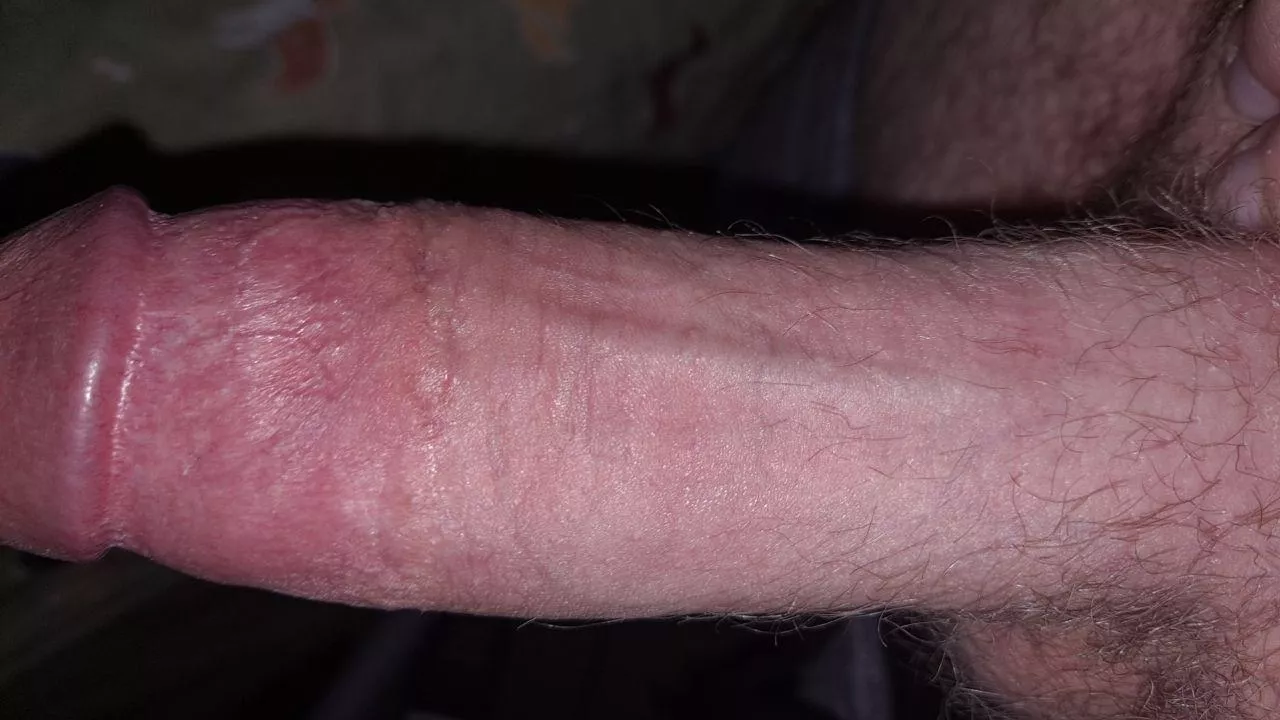 Need some subs to own completely, dms open~ 