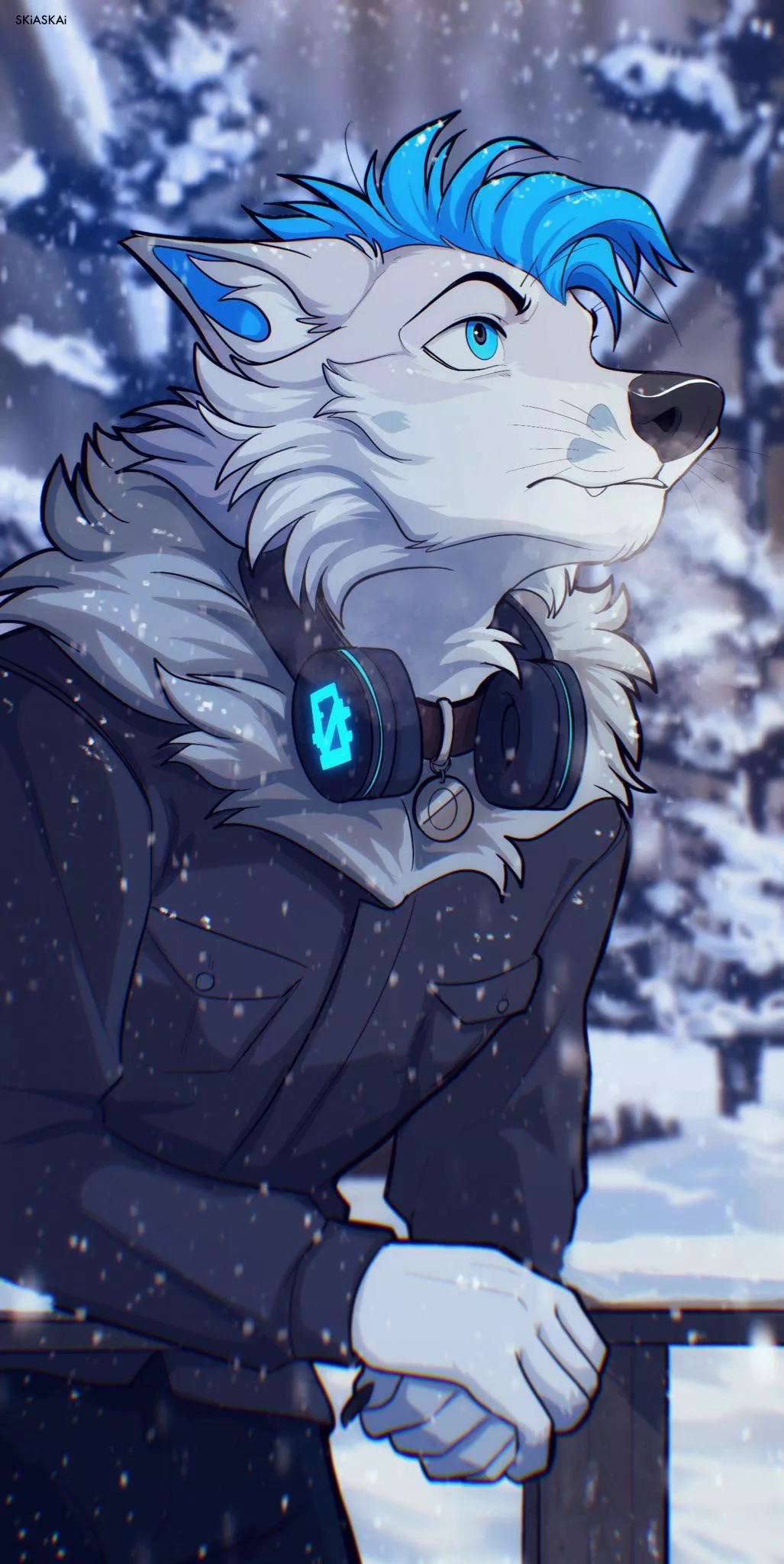 Snowy Day [SkiaSkai]