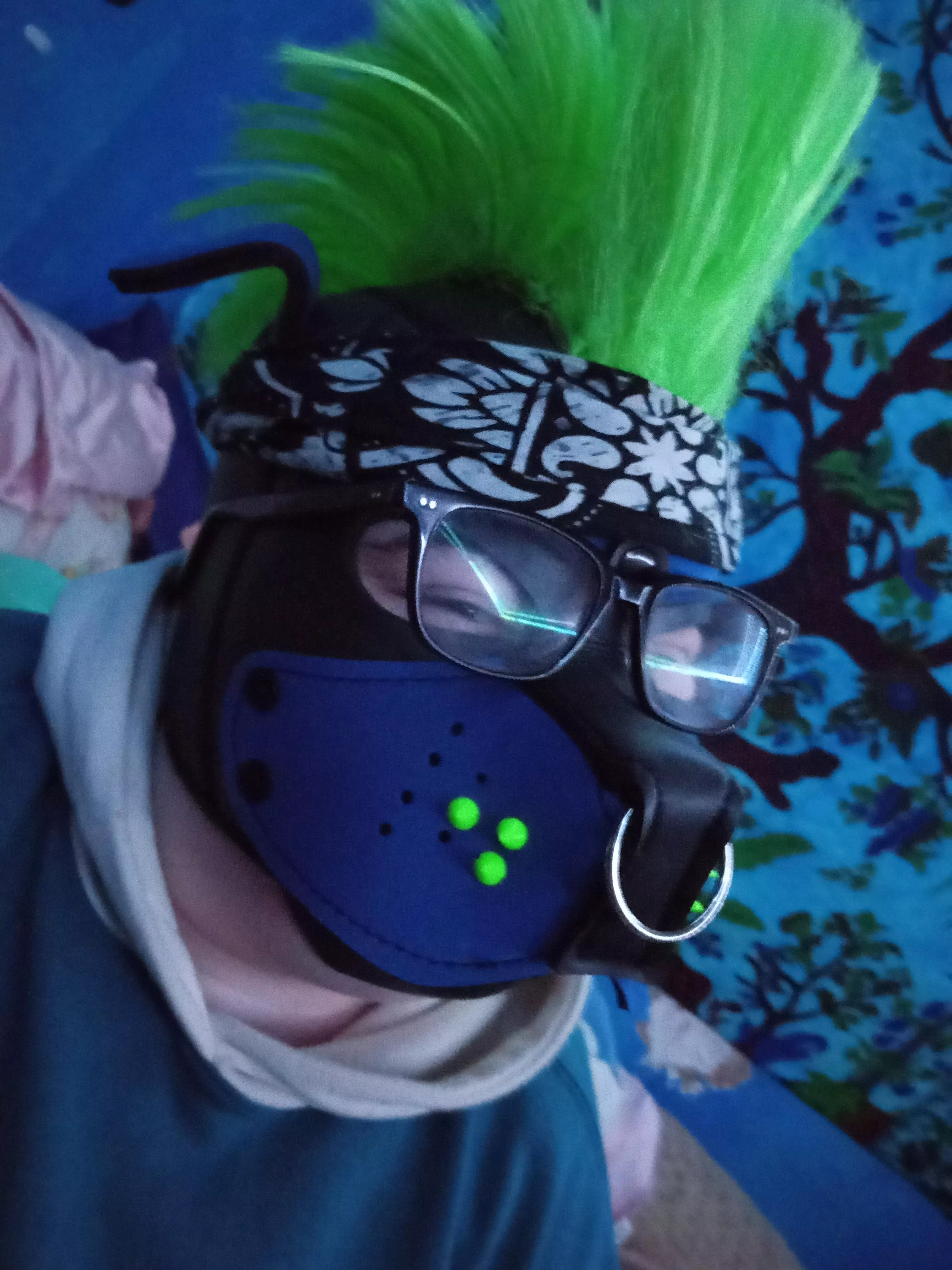 Squid pup here, Happy to be apart of the community! It's been about one year now since I came out as a pup! 