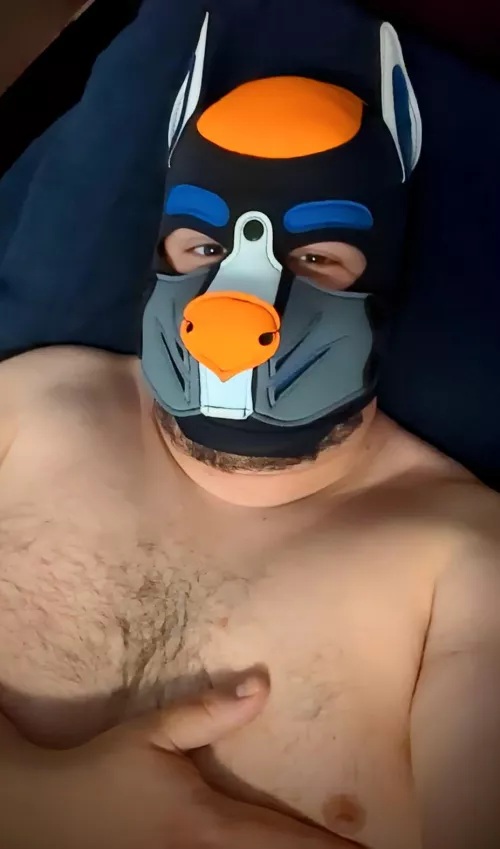 This pup is very satisfied from a good afternoon session with a toy! 