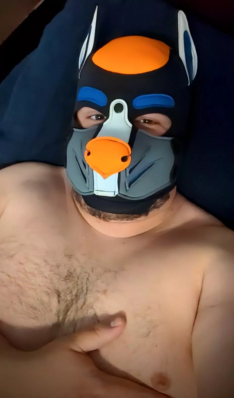 This pup is very satisfied from a good afternoon session with a toy! 