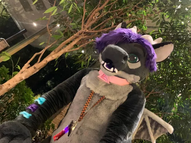 What You Wanna Do Today?