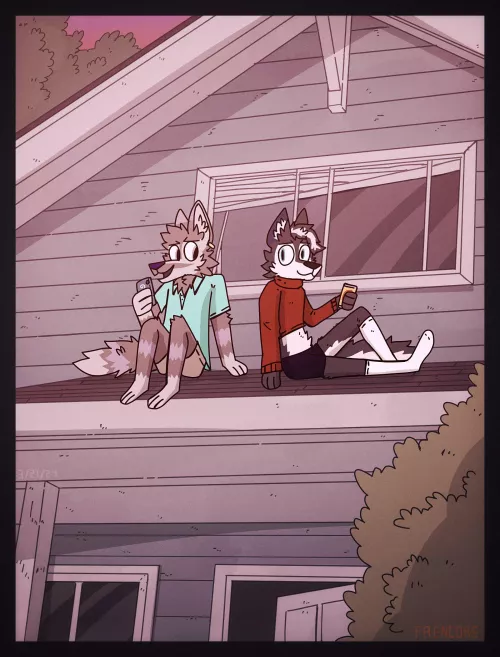 Who Let the Dogs on the Roof?!? [FreneticWolf]