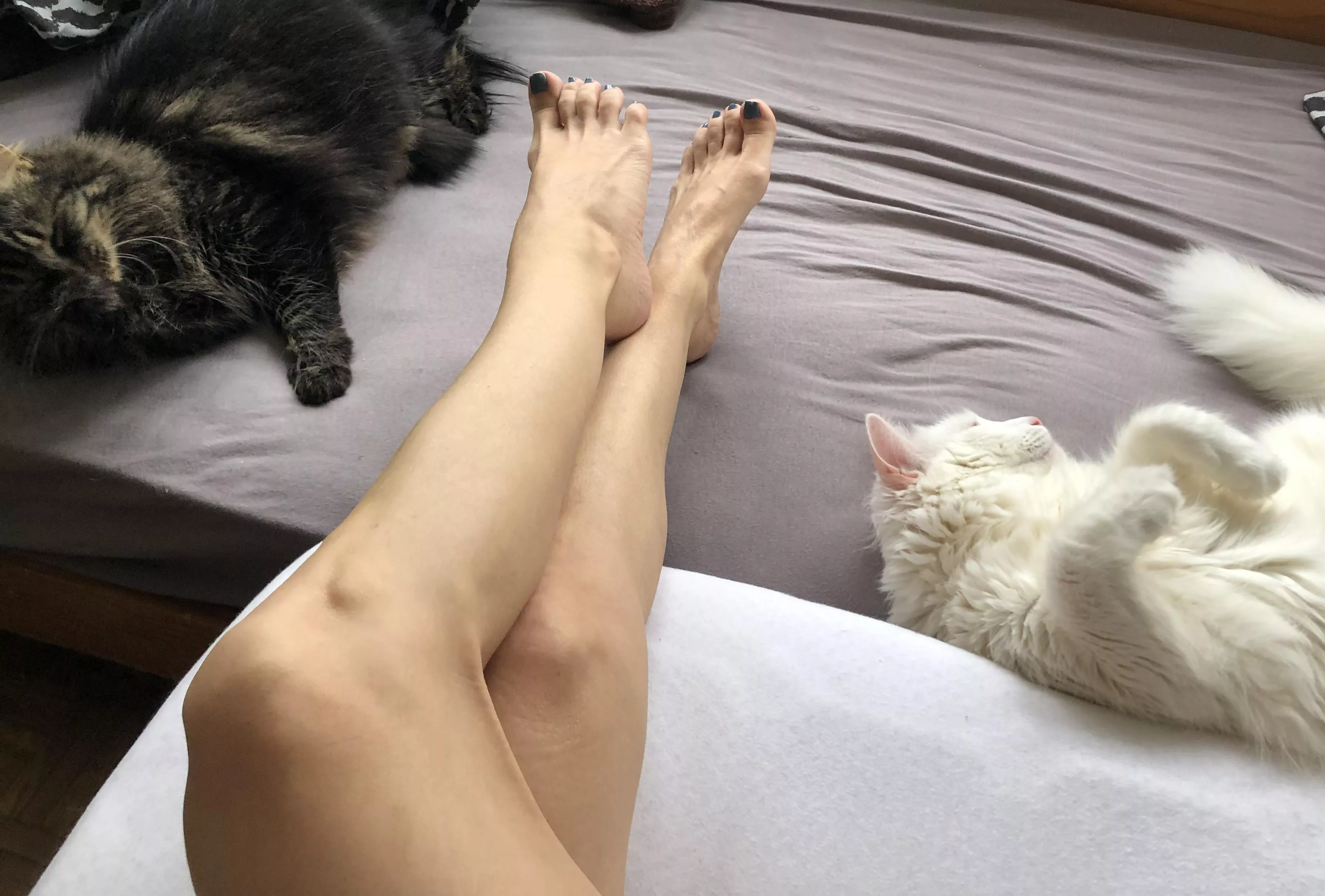 Will we last until the weekend? It's only Tuesday