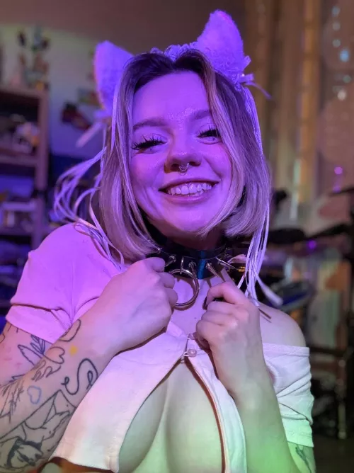 you'd pet that cute cat, wouldn't you