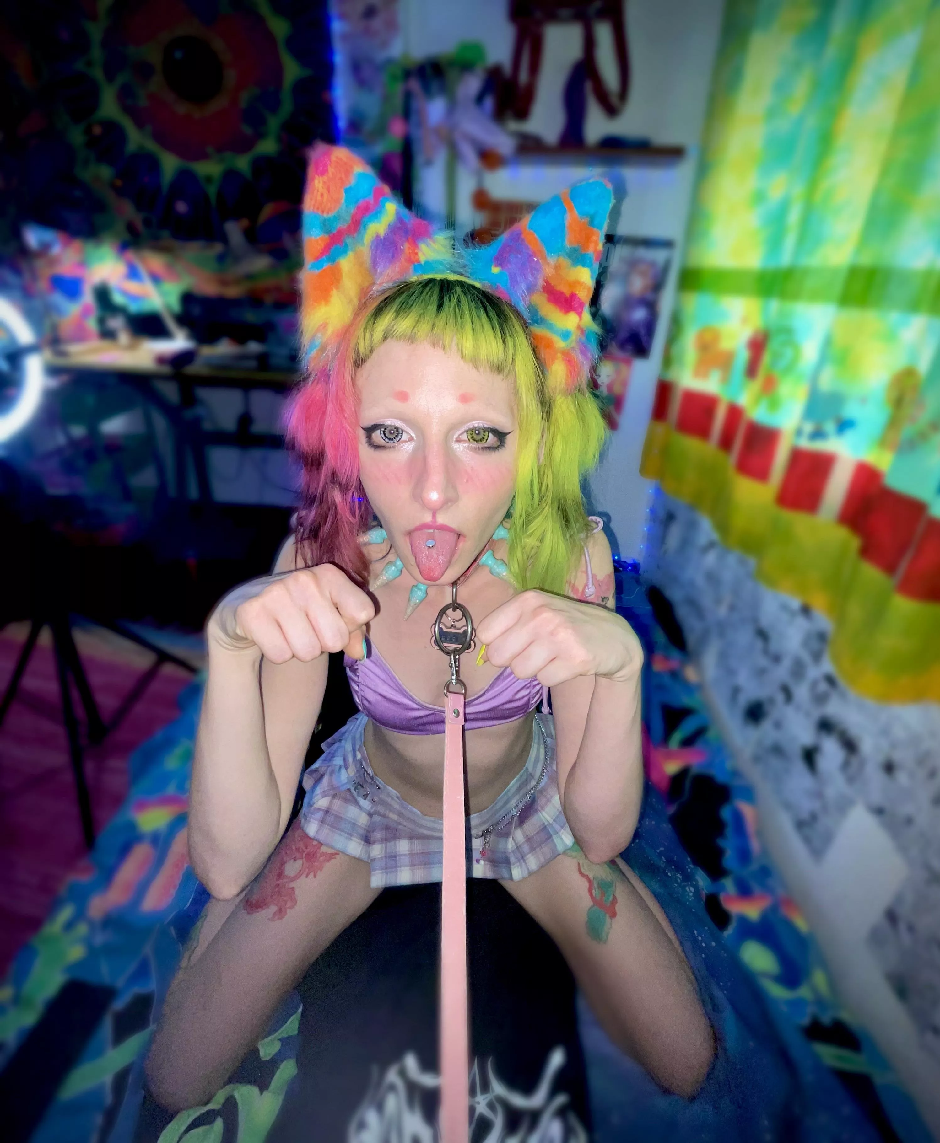 Your pet wants to play 🐶🥺