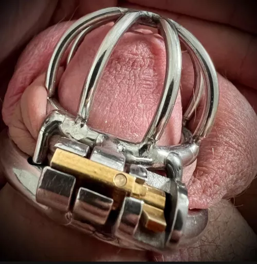 10% dick 90% disappointment