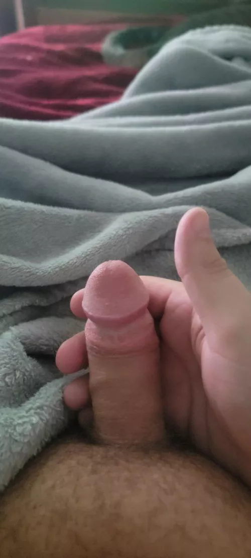 Anyone wanna play with my 4 inches while I suck my first dick?