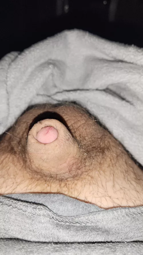 Anyone want to ft on snap m21