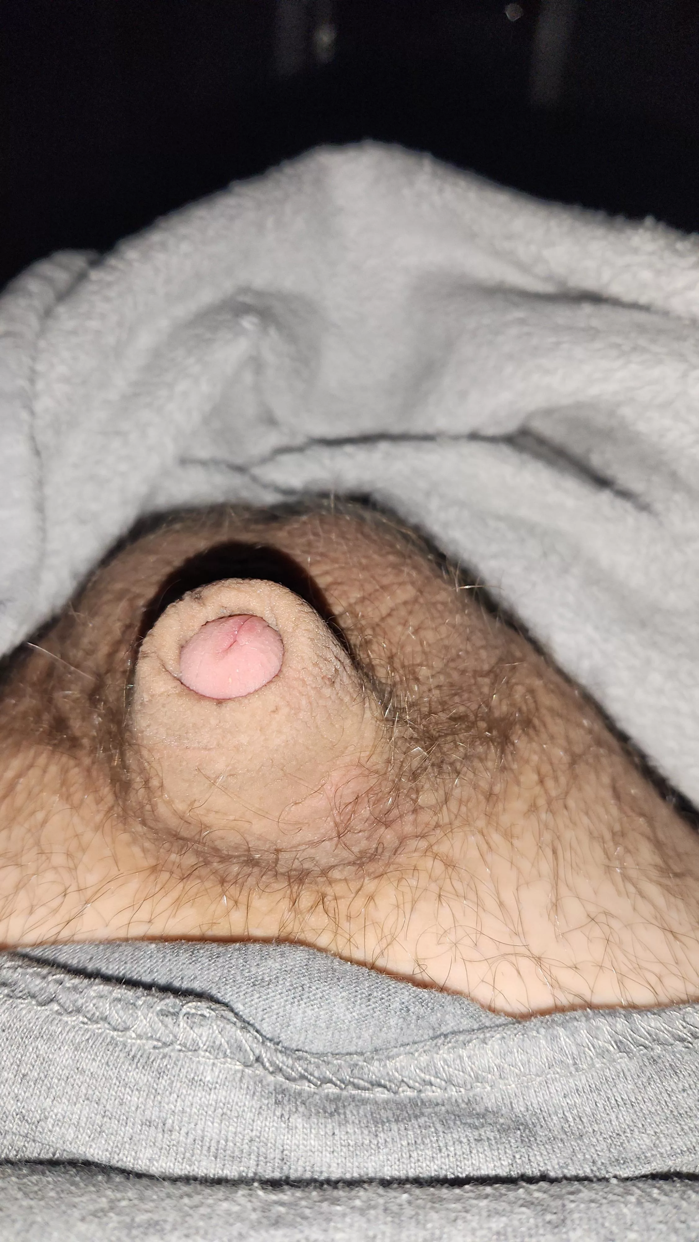 Anyone want to ft on snap m21