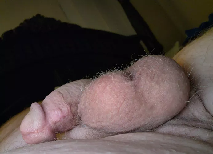 Apparently it's not time to rise and shine...