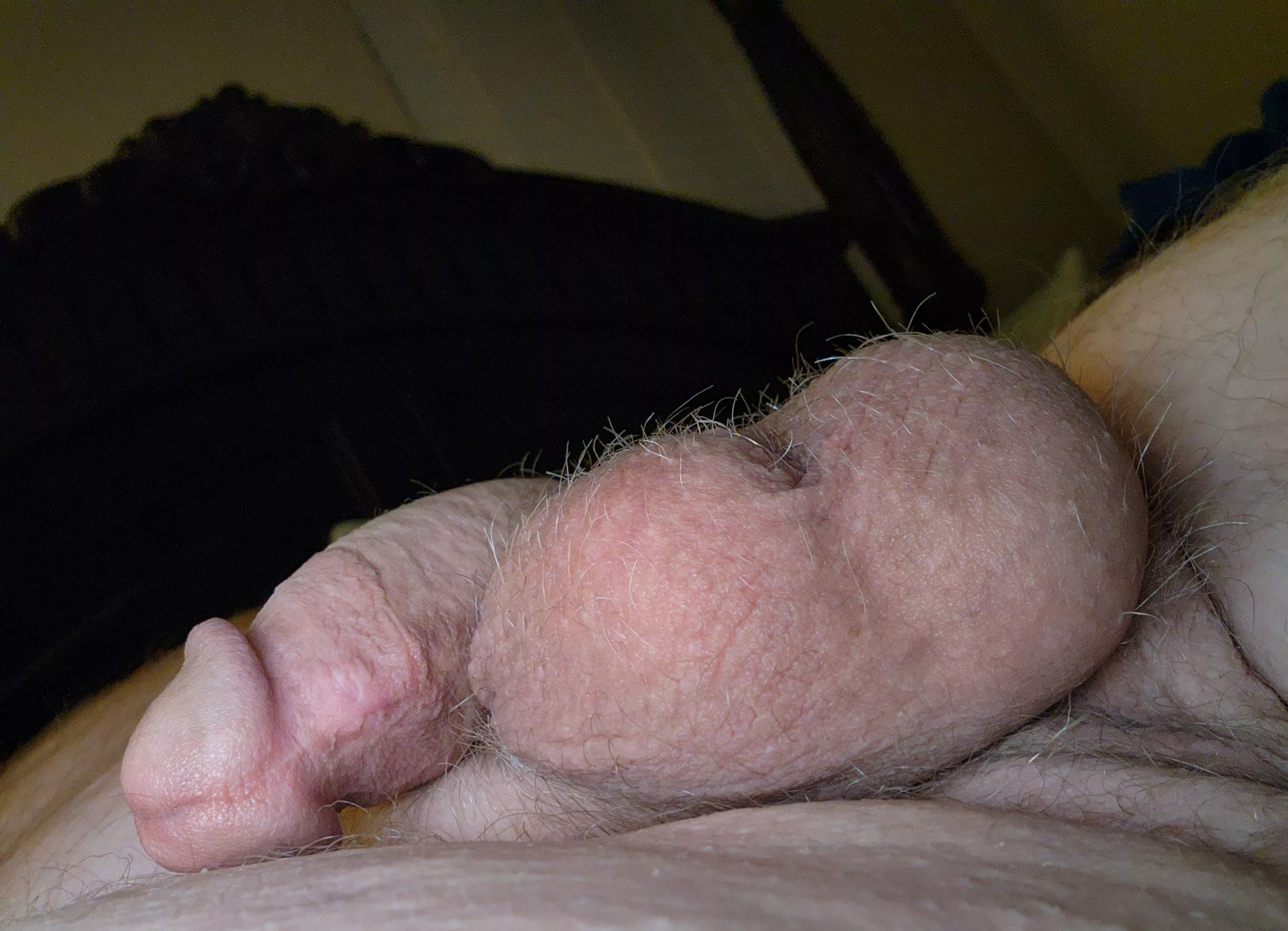 Apparently it's not time to rise and shine...