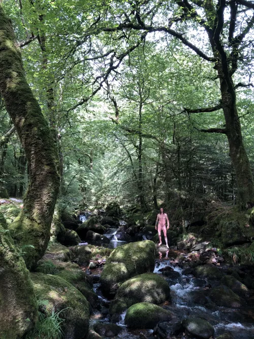 Be honest, did you Zoom?