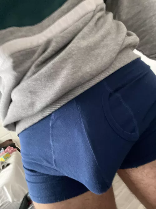 Begging to be let out when I should be studying