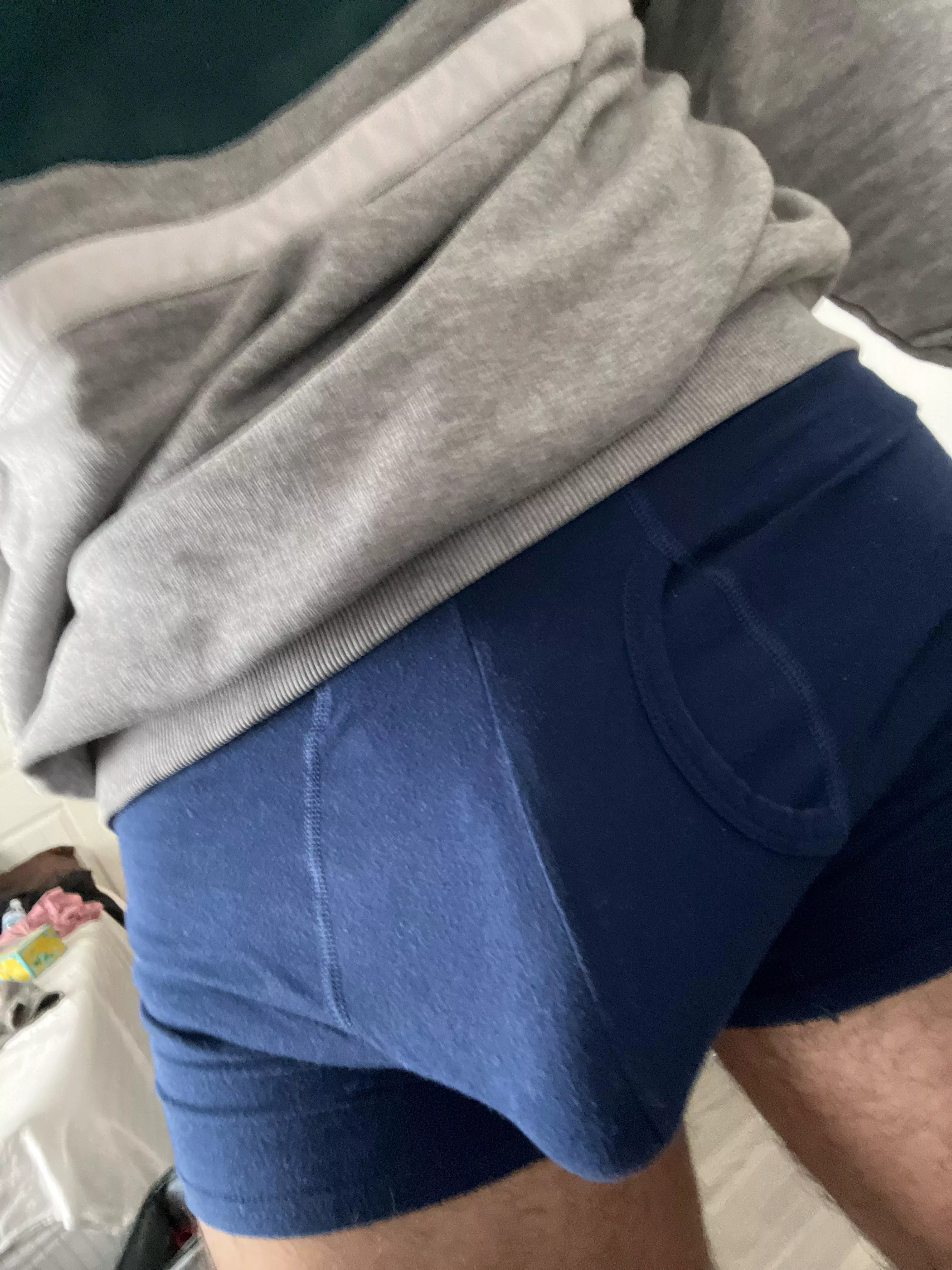 Begging to be let out when I should be studying