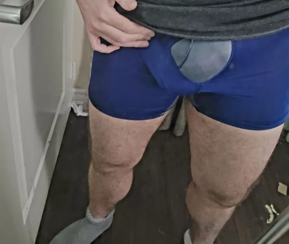 can you spot the cock?