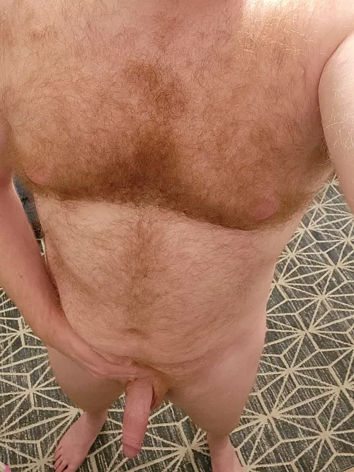 Do you like gingers? 