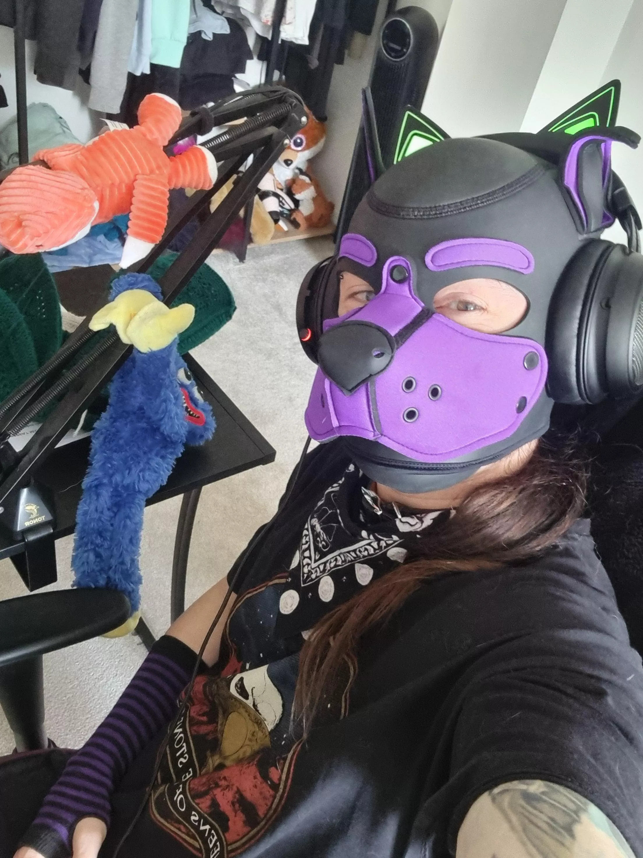 Gaming day for this pup ^_^