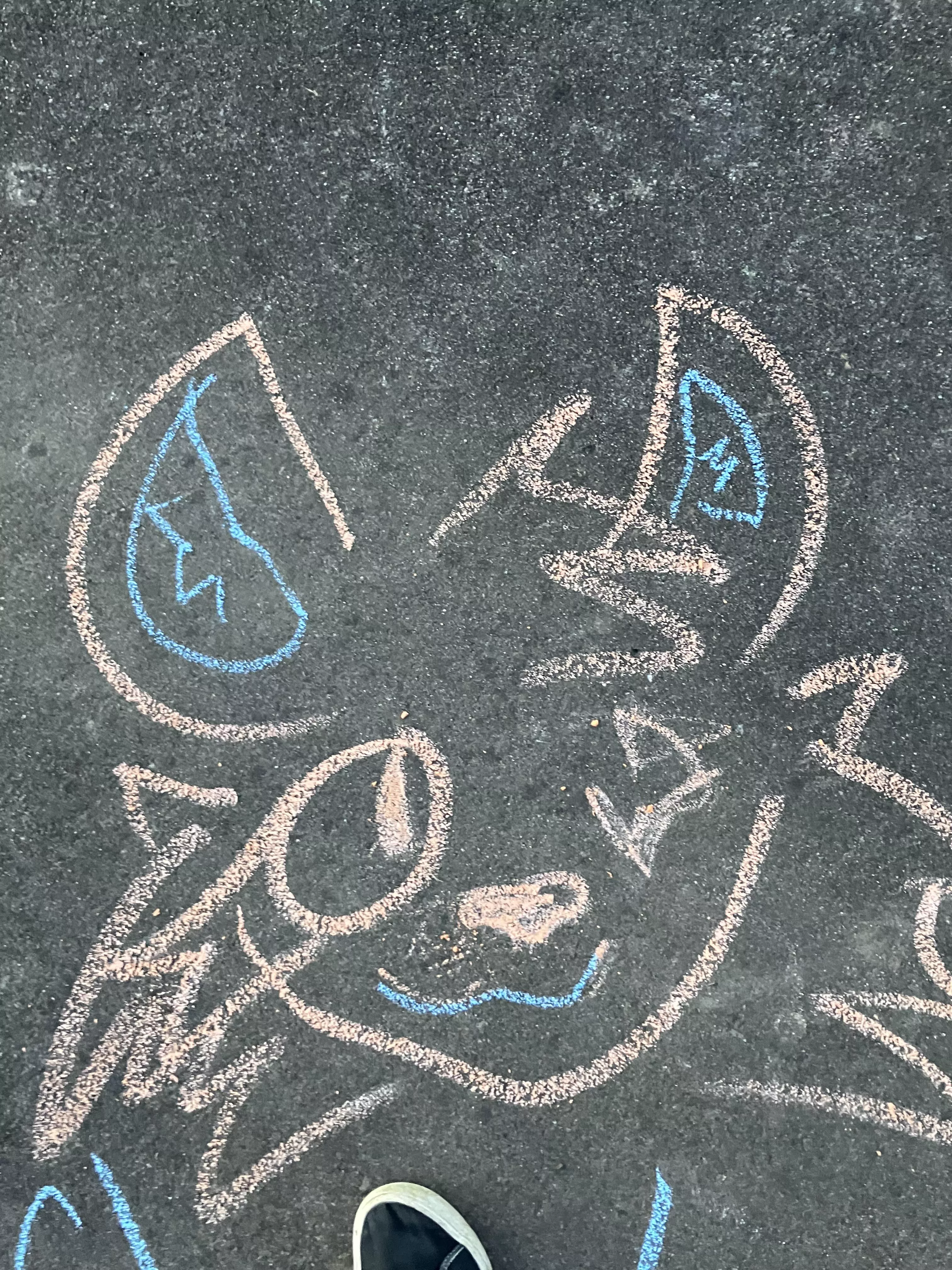 Got bored sooo- Chalk:3