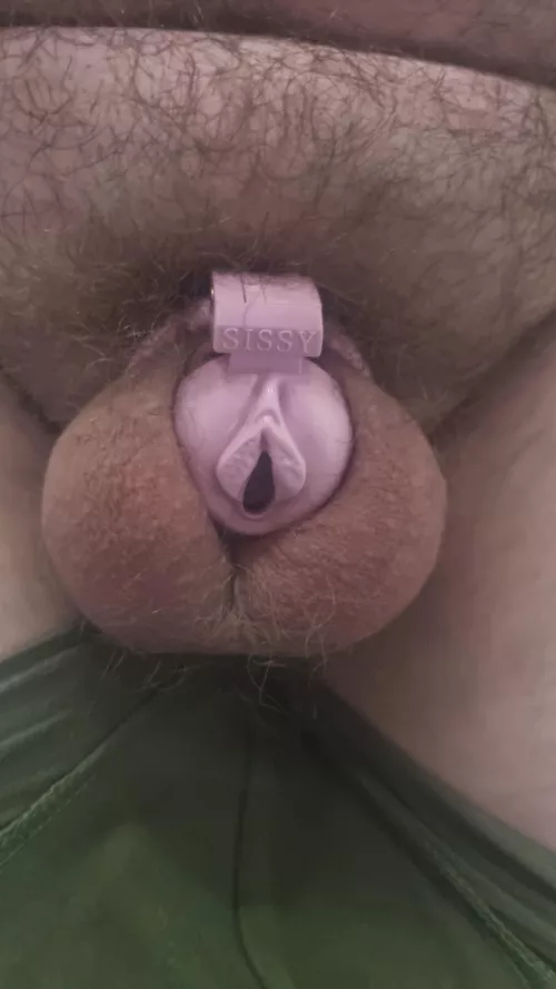 Got myself a new cage (yes i need to trim)