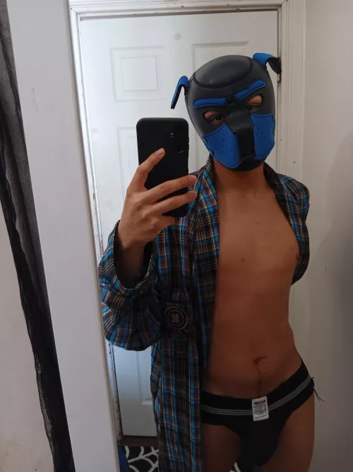 Happy belated pup day ! 