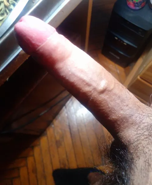 Here is my cock to make you company this saturday