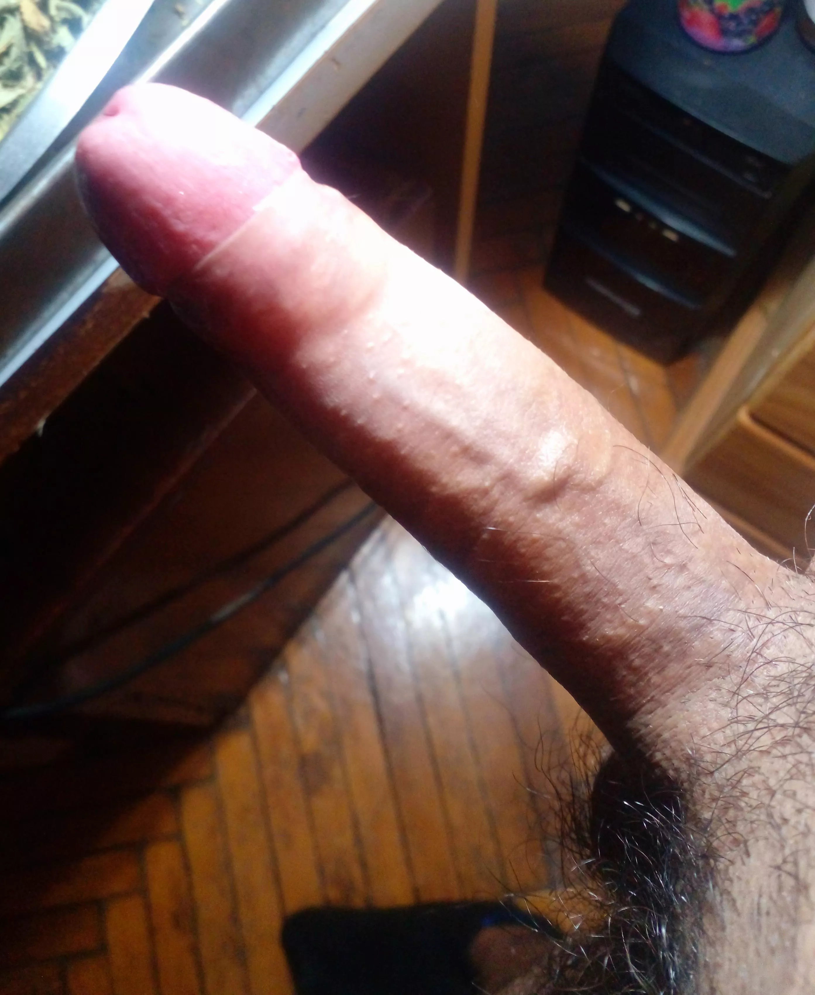 Here is my cock to make you company this saturday