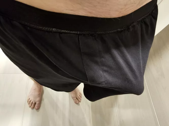 How big do you think it is?