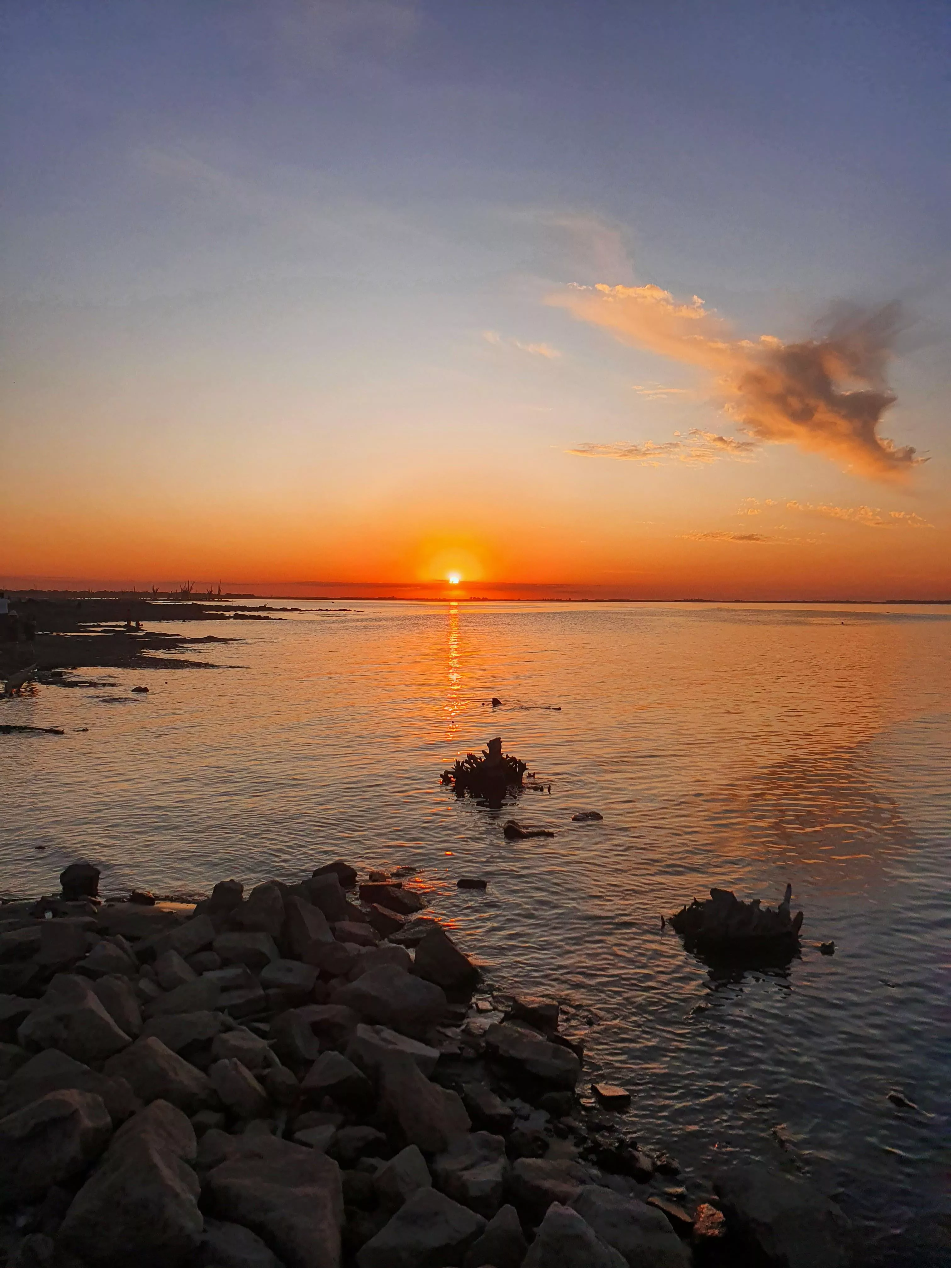 How happy it makes you to see this photo? 💘