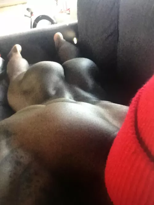 How Much is Too Much?