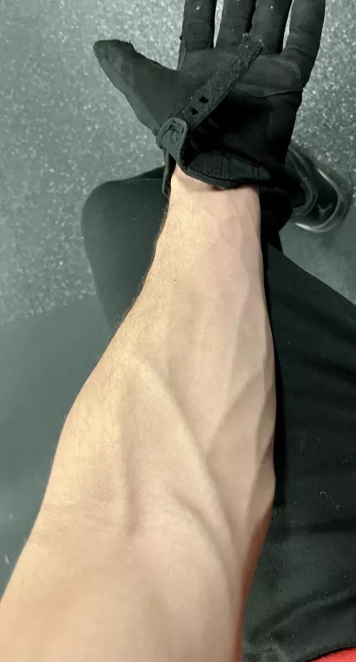 Little forearm pump from secretly playing with my 8 inch champ at the gym 😁
